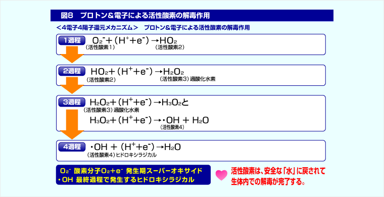 プロトンってなに？ | NPO法人プロトン医学研究所